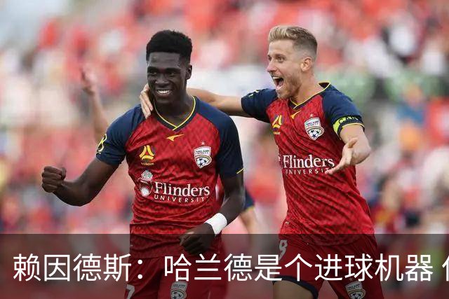 赖因德斯：哈兰德是个进球机器 但最佳前锋我选加克波